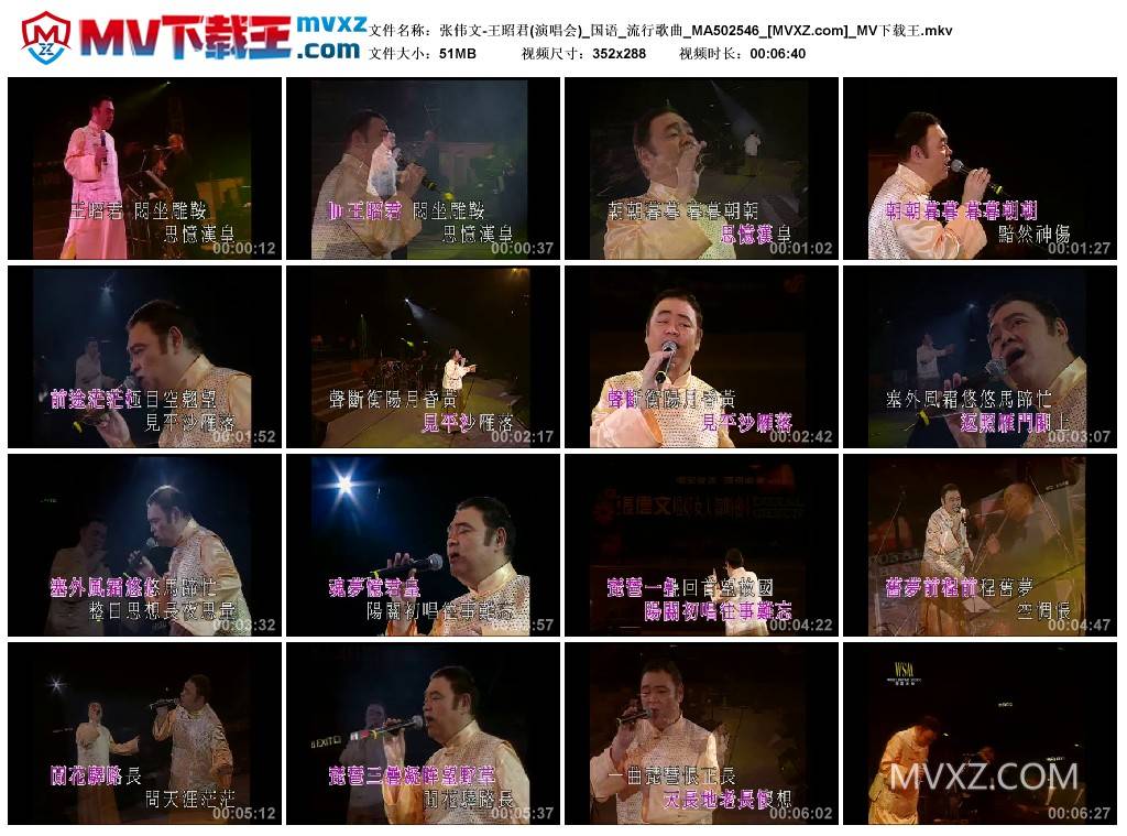 张伟文-王昭君(演唱会)_国语_流行歌曲_MA502546